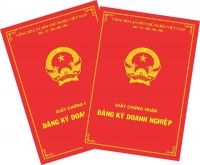 Giấy đăng ký kinh doanh số 33A8011035